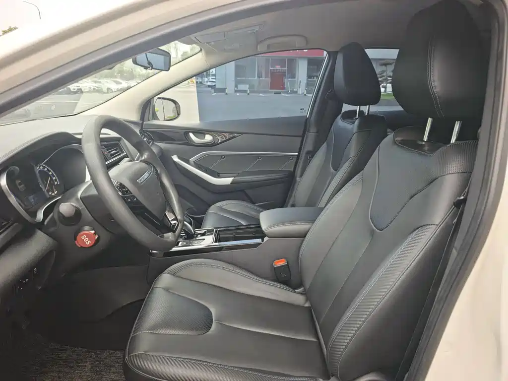 Venucia D60 EV — миниатюра 4