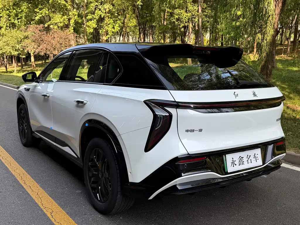 Hongqi Hongqi Tiangong 08 — миниатюра 9