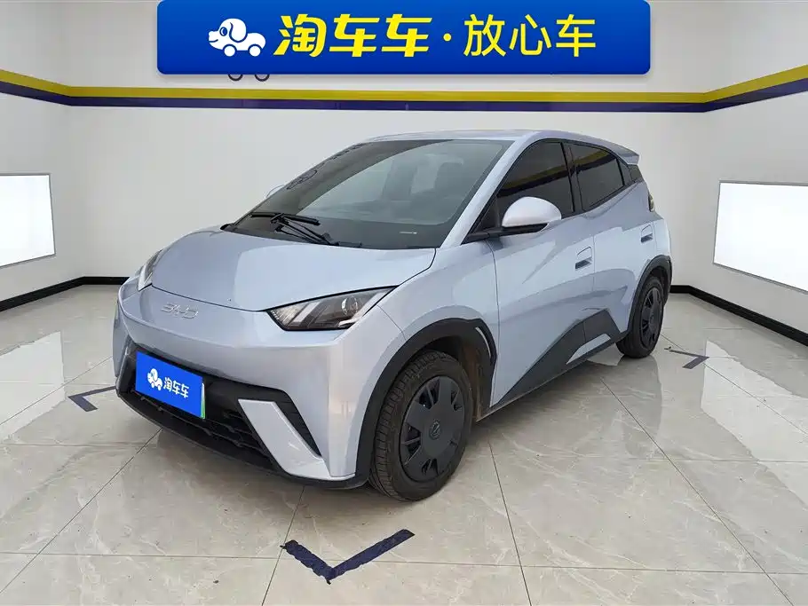 Byd Seagull 2024