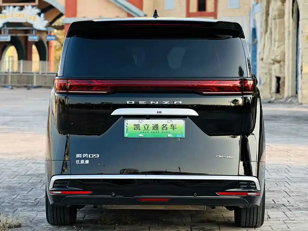 Denza Denza D9 — миниатюра 5
