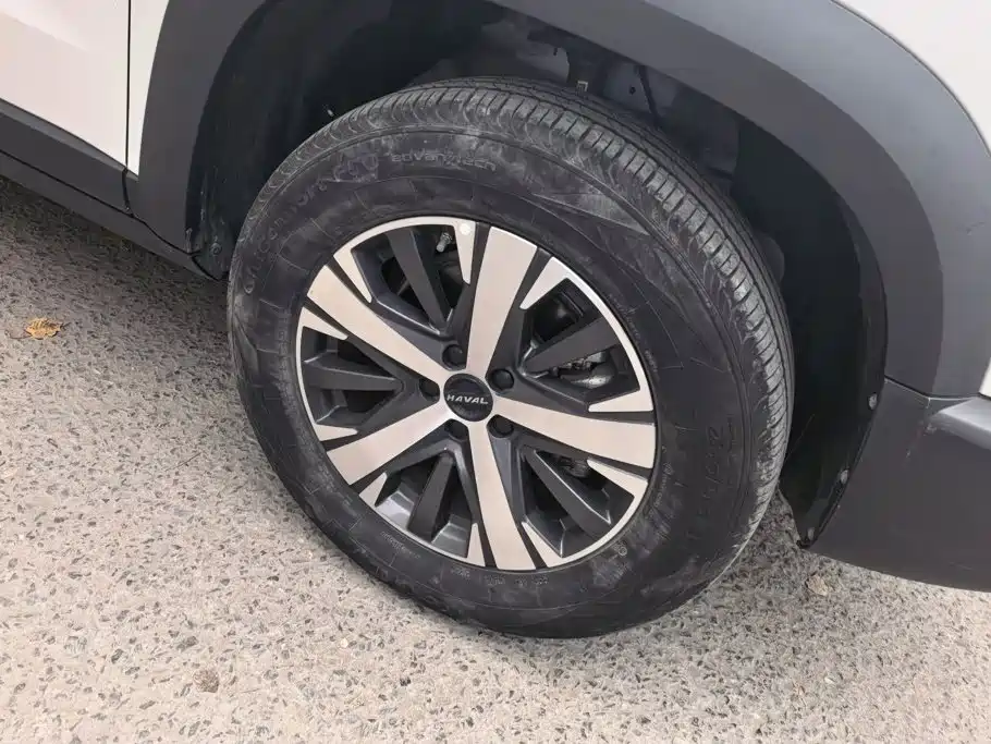 Haval Big Dog — миниатюра 6