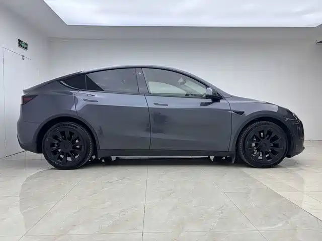 Tesla Model Y — миниатюра 10