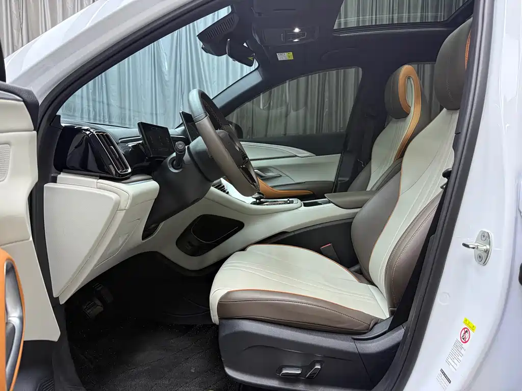 BYD Pro New Energy — миниатюра 13