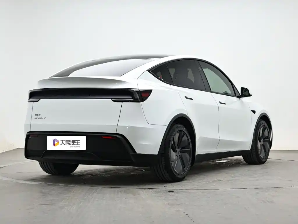 Tesla Model Y — миниатюра 3