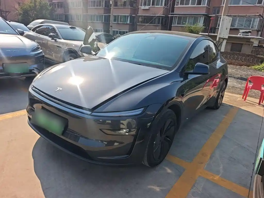 Tesla Model Y — миниатюра 2
