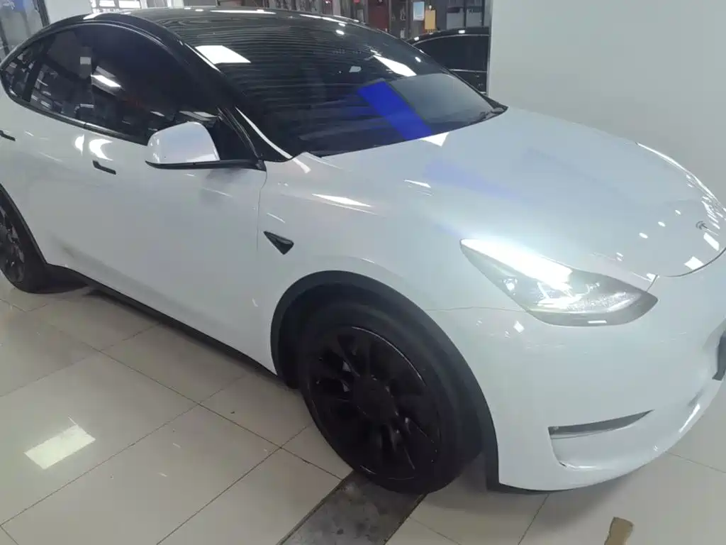 Tesla Model Y — миниатюра 4