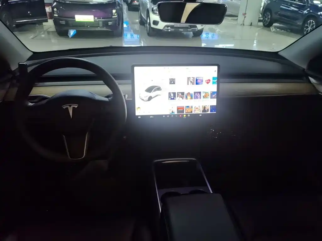 Tesla Model Y — миниатюра 10