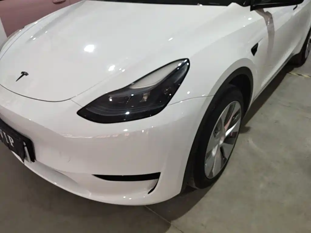 Tesla Model Y — миниатюра 24