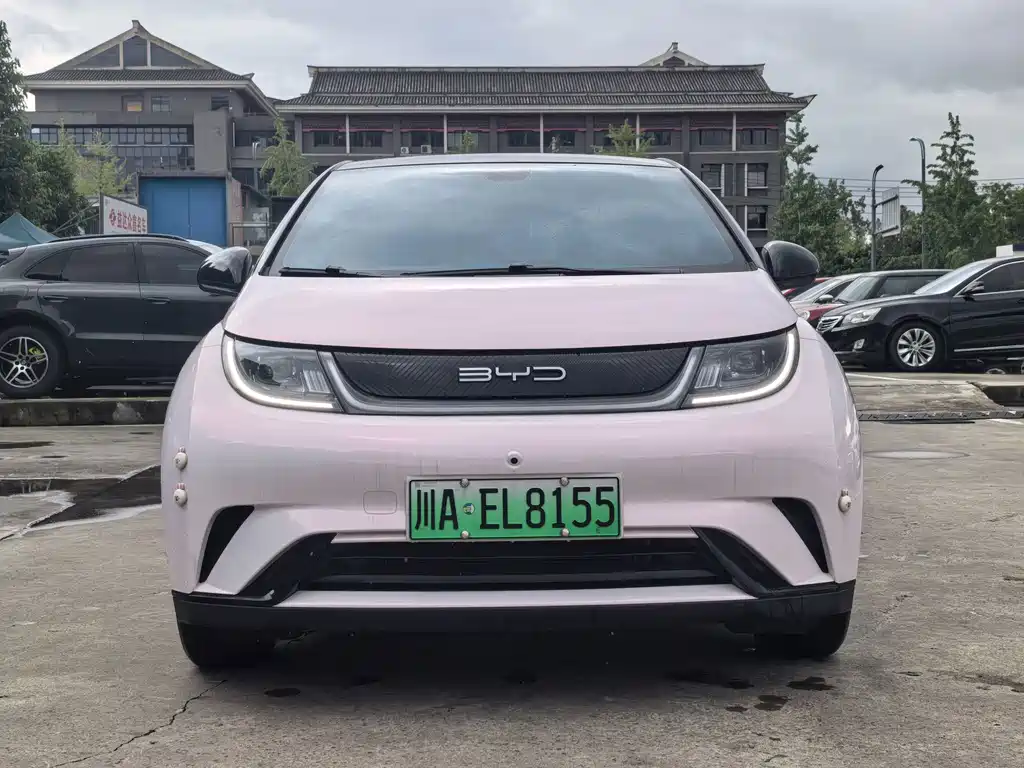 BYD Dolphin — миниатюра 2