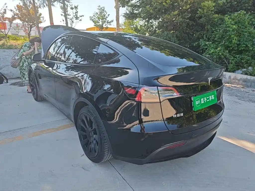 Tesla Model Y — миниатюра 23