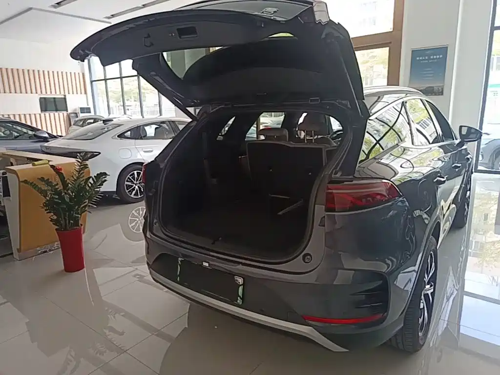 BYD Tang New Energy — миниатюра 19
