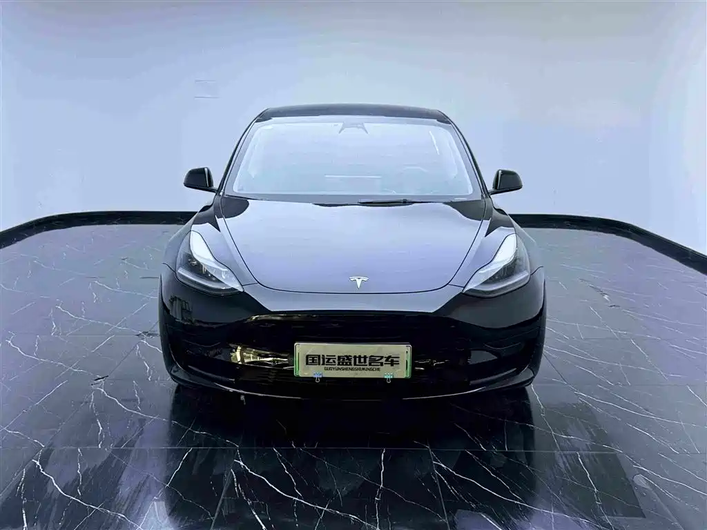 Tesla Model 3 — миниатюра 2