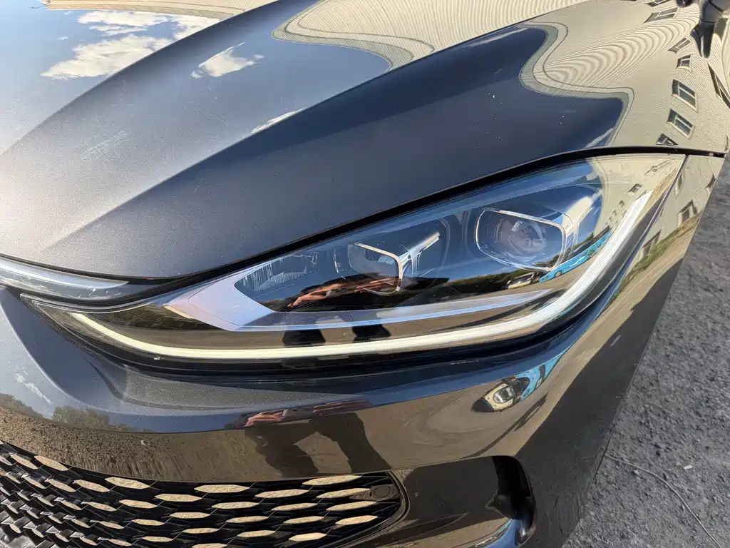 Volkswagen Lamando — миниатюра 7