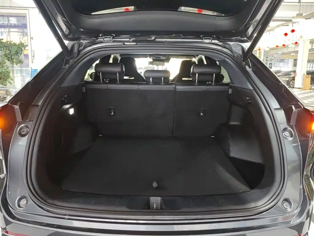 Oshan Oushang Z6 New Energy — миниатюра 19