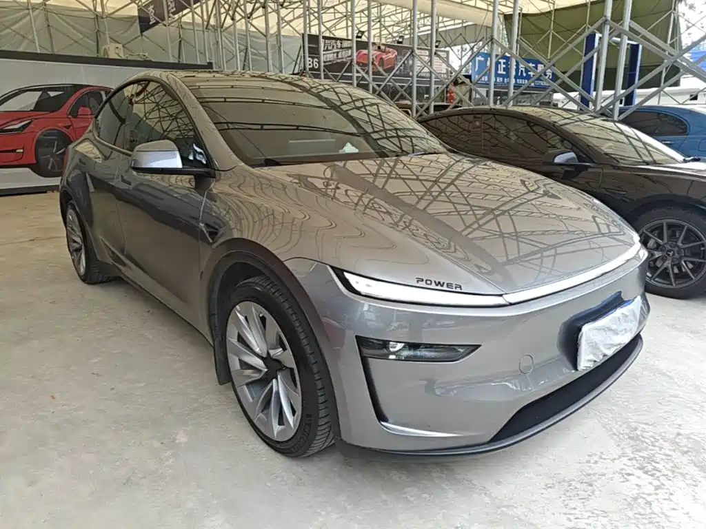 Tesla Model Y — миниатюра 4