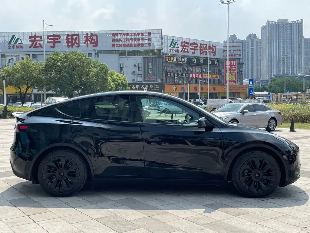 Tesla Model Y — миниатюра 5