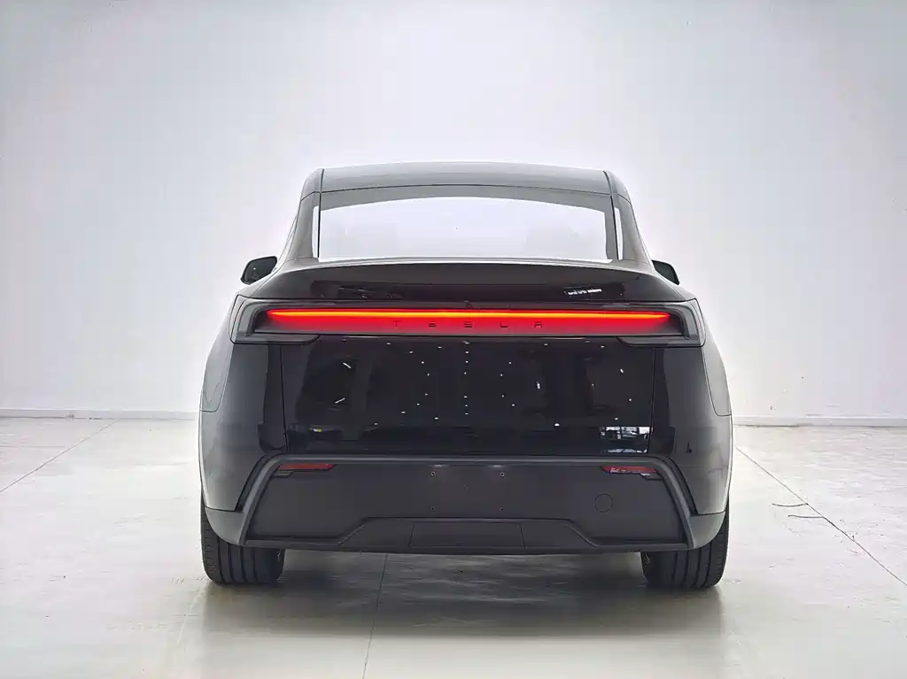 Tesla Model Y — миниатюра 9