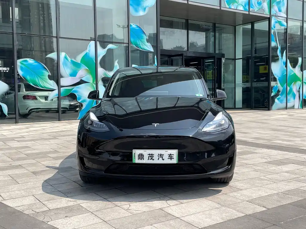 Tesla Model Y — миниатюра 2