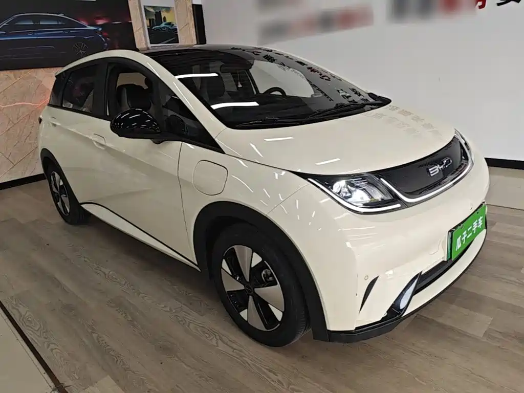 BYD Dolphin — миниатюра 4