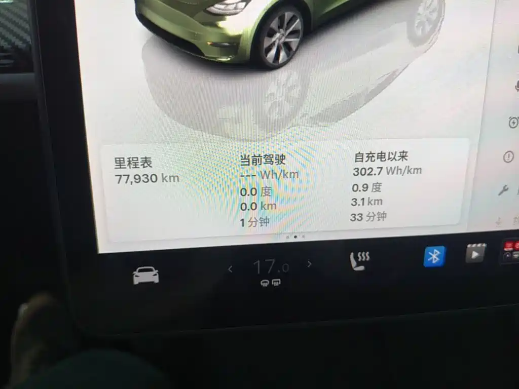 Tesla Model Y — миниатюра 12