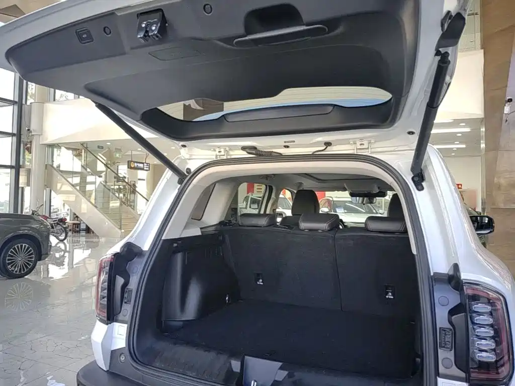 Haval Big Dog — миниатюра 19