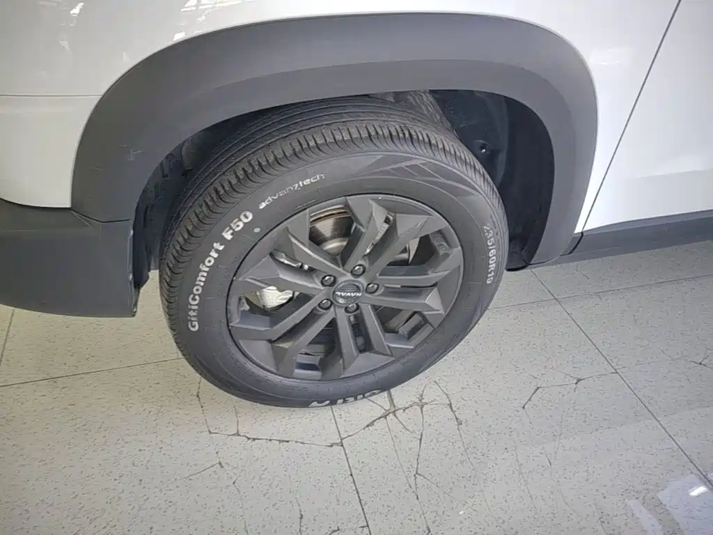 Haval Big Dog — миниатюра 23
