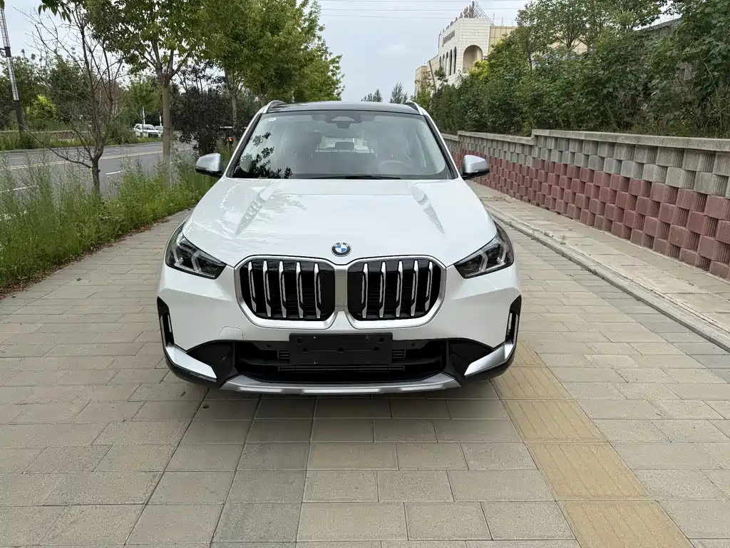 BMW X1 — миниатюра 2