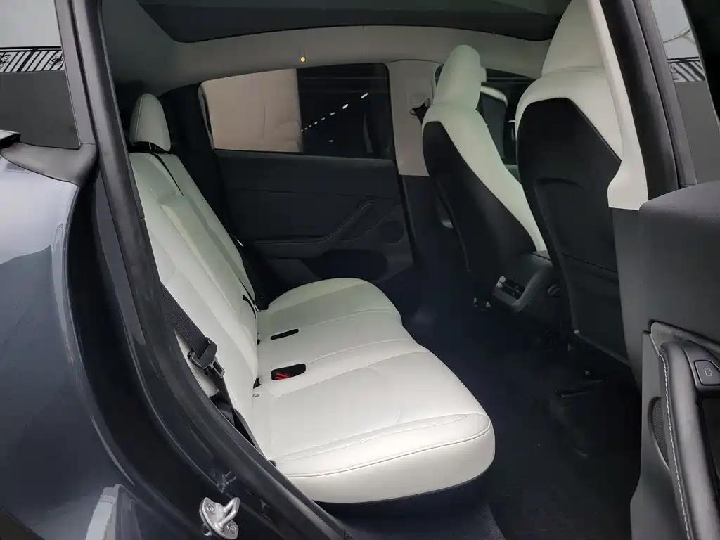 Tesla Model Y — миниатюра 11