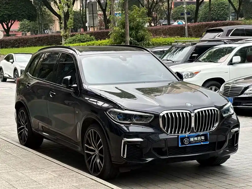 BMW X5 — миниатюра 3