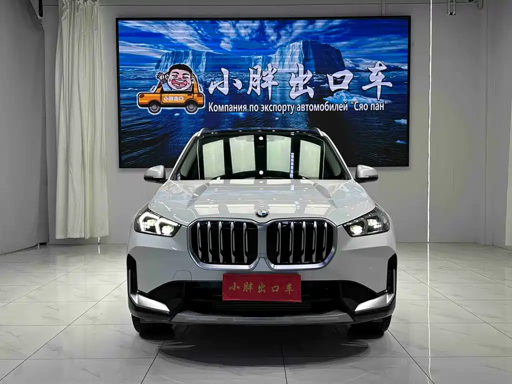 BMW X1 — миниатюра 2
