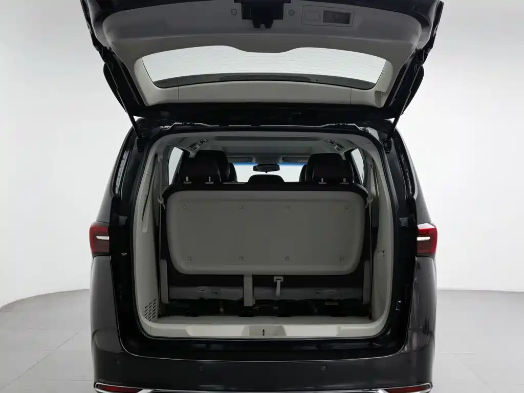 Buick GL8 — миниатюра 16