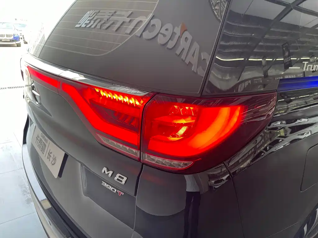GAC Motor Trumpchi M8 — миниатюра 11