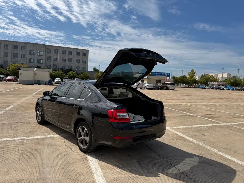 Skoda Octavia — миниатюра 12