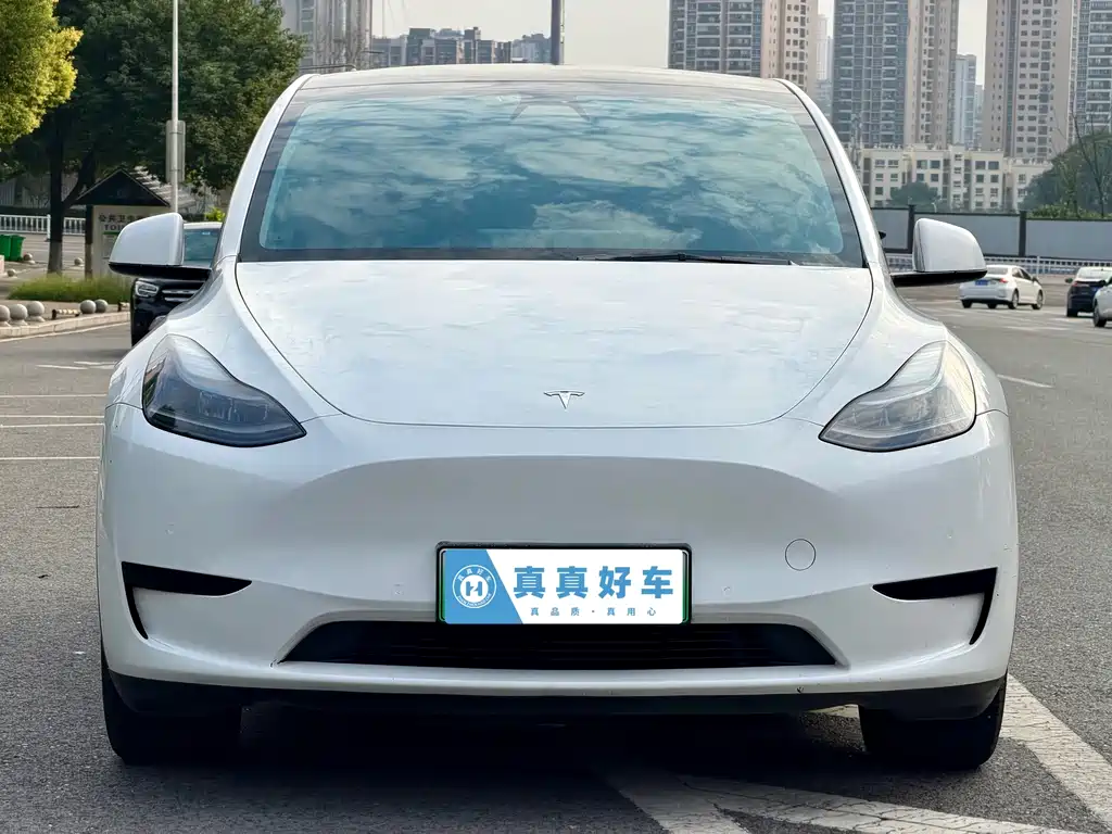 Tesla Model Y — миниатюра 2