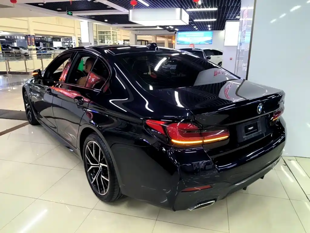 BMW 5 Series (Import) — миниатюра 5