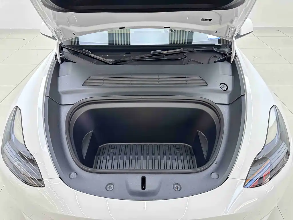 Tesla Model Y — миниатюра 6