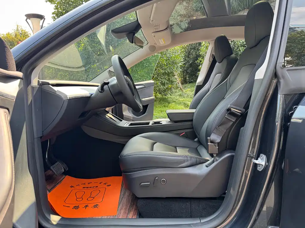 Tesla Model Y — миниатюра 5