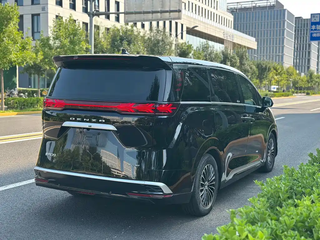 Denza Denza D9 — миниатюра 18