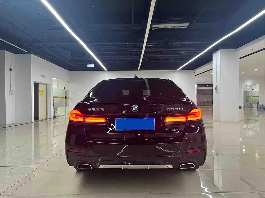 BMW 5 Series — миниатюра 4