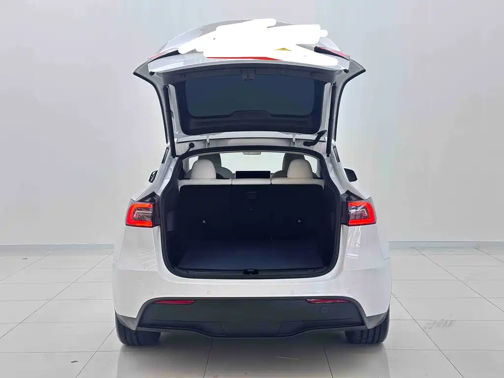 Tesla Model Y — миниатюра 5