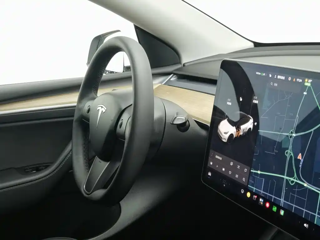 Tesla Model Y — миниатюра 22