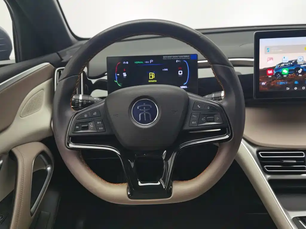 BYD Pro New Energy — миниатюра 11