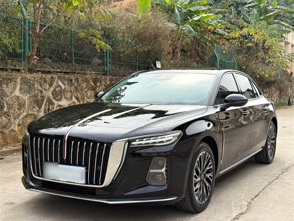 Hongqi Hongqi H5 2024