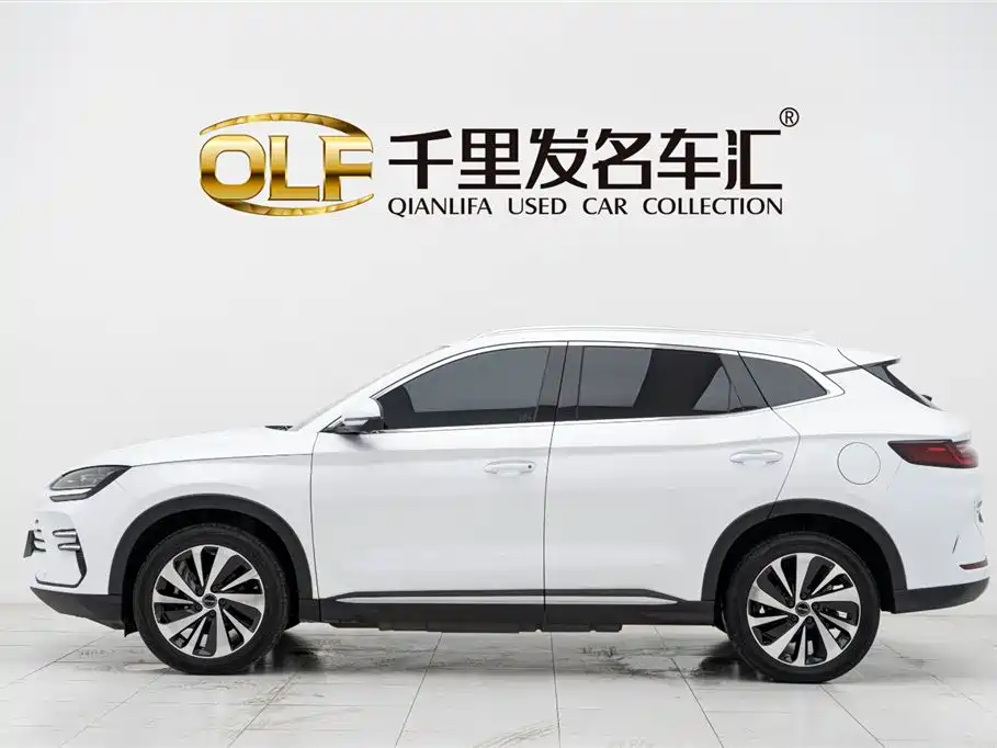 BYD SONGJIANG NEW ENERGY