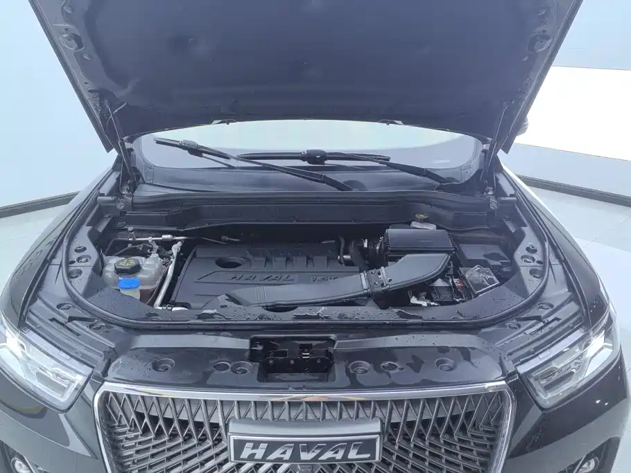 Haval H6 — миниатюра 10