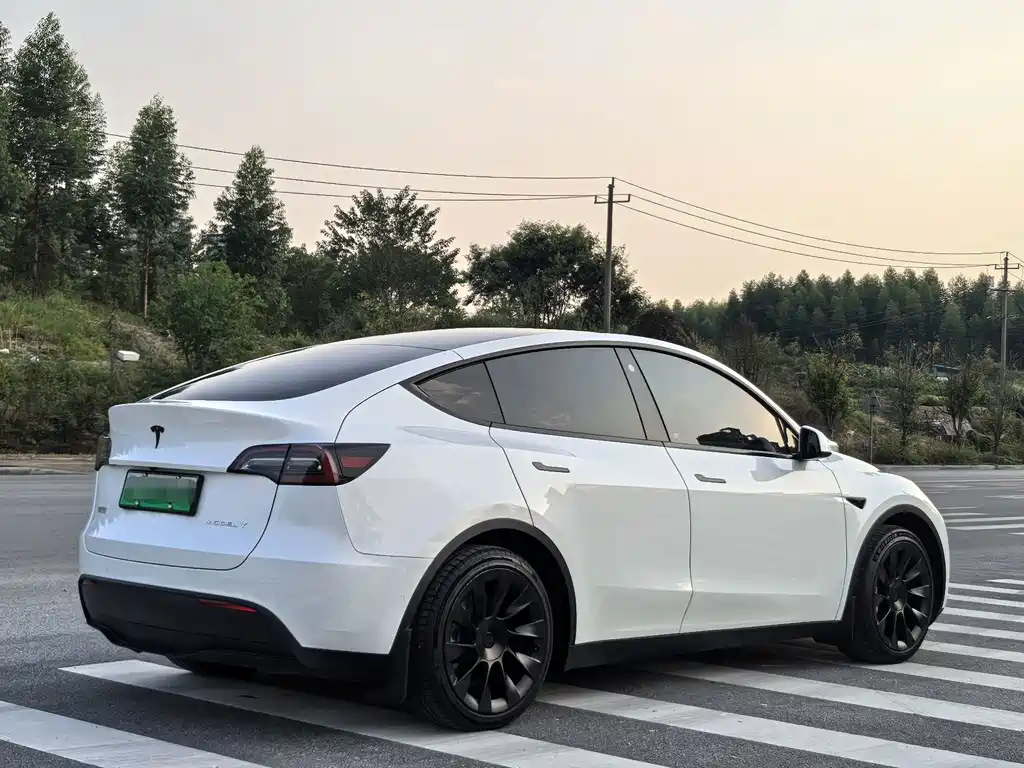 Tesla Model Y — миниатюра 7