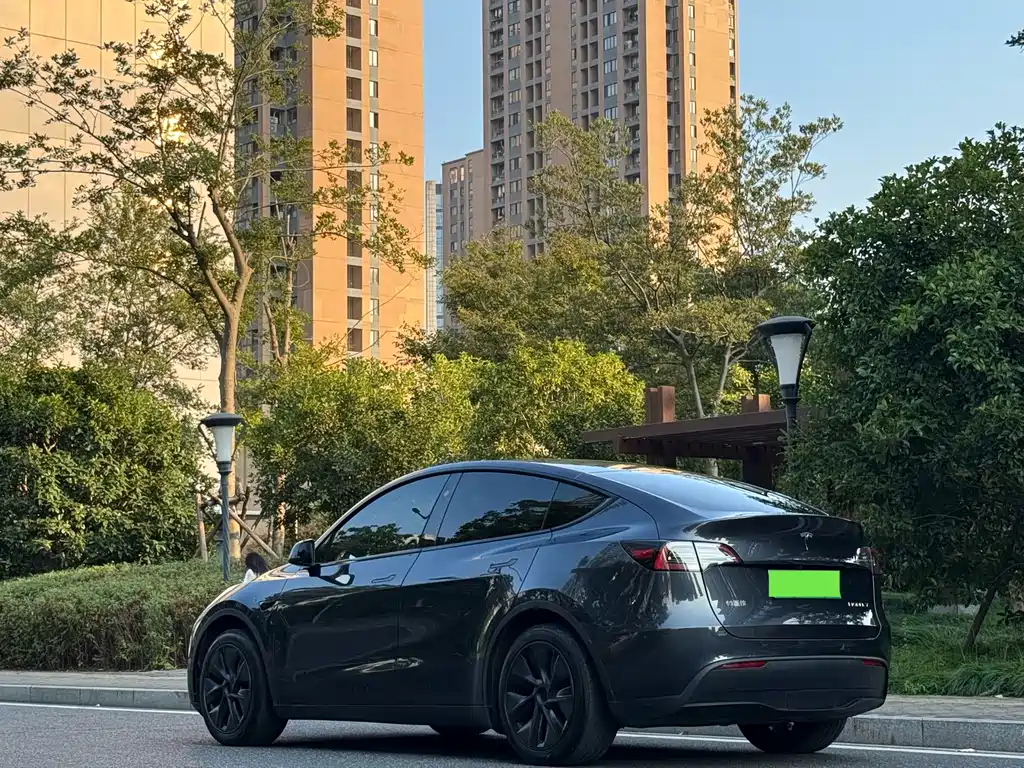 Tesla Model Y — миниатюра 10