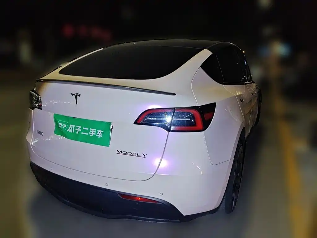 Tesla Model Y — миниатюра 4