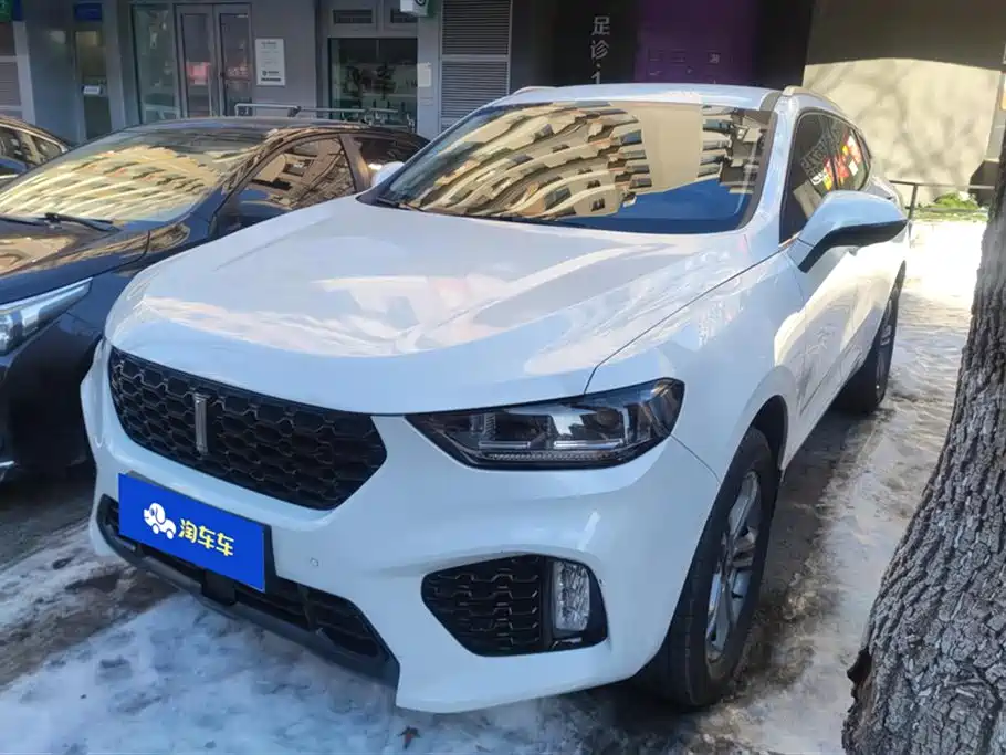 Wey Wey VV5 2019