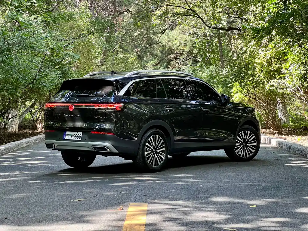 Volkswagen Tavendor — миниатюра 11